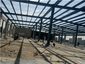 生物医药基地屋面新增钢结构工程案例